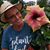 Karen Hardy Winkles's profile image