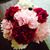 Michelle Buchinger's profile image