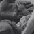 Contessa Goodrow's profile image