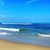 Jody Durrett Stevens's profile image