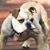 Chuck Berndt's profile image