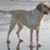 Robin Werner Klein's profile image