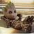 Margo Proimos's profile image