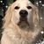 Kathleen Tew's profile image