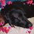 Sara White Nunimaker's profile image