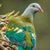 Jennifer L. Jones's profile image