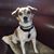 Sunny McNulty's profile image