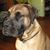 Twila Beckom's profile image