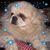Robin Terry's profile image