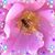 Kathy Odiorne's profile image