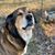 Sara Allyson Hughes's profile image
