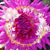 Jennifer Stilligan's profile image