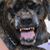 Bill Shaffer's profile image