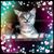 Renata Allison's profile image