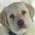 Vicki Zaring's profile image
