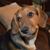 Linda Williams's profile image