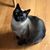 Jeanie Locke's profile image