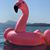 Konstance Kuehne Johnston's profile image
