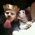 James Harris's profile image