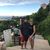 Daniel-and Lizette Marshall's profile image