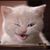 Noreene K Lyons's profile image
