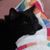 Cindi Frazier Murnane's profile image