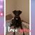 Robyne Simpson's profile image