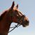 Kathleen Santoro Winters's profile image