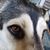 Melody Ozment's profile image