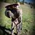 Nyles Seaton's profile image