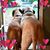 Erin Sullivan's profile image