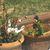 Penny Beels Vogt's profile image