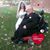 Yvette Fontaine Socha's profile image