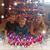 Kelley Stultz Hopkins's profile image
