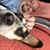 Chris Hemmerly's profile image