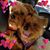 Michelle Marie's profile image