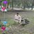 Talal Ahmed's profile image