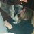 Krissy Albers's profile image
