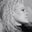 Bess Millson's profile image