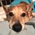Tonya Geauxrdon's profile image