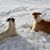 Elaine Kilmer's profile image