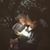 Rosie Mattia Harald's profile image