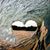Stacey Warren's profile image