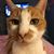 Jennifer McBreen Moore's profile image
