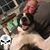 Lee Spencer's profile image