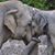 Dixie Eiler's profile image