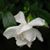 Patricia Dyar's profile image