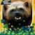 Marc Pillarelli's profile image