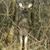 Bobby Steigler's profile image