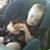 Phyllis Rundell's profile image